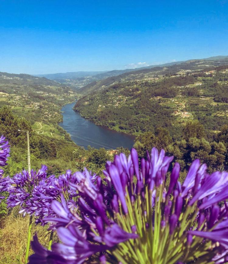 Mira Douro Valley Home Марку-ди-Канавезиш Экстерьер фото